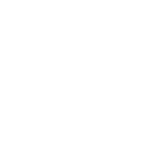 GPS icon